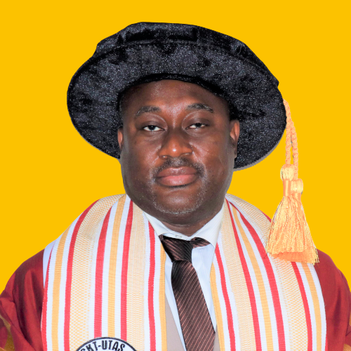 Professor Gordon Akanzuwine Awandare - Council Chair - CKTUTAS